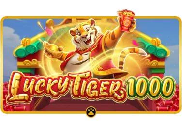 505bet9